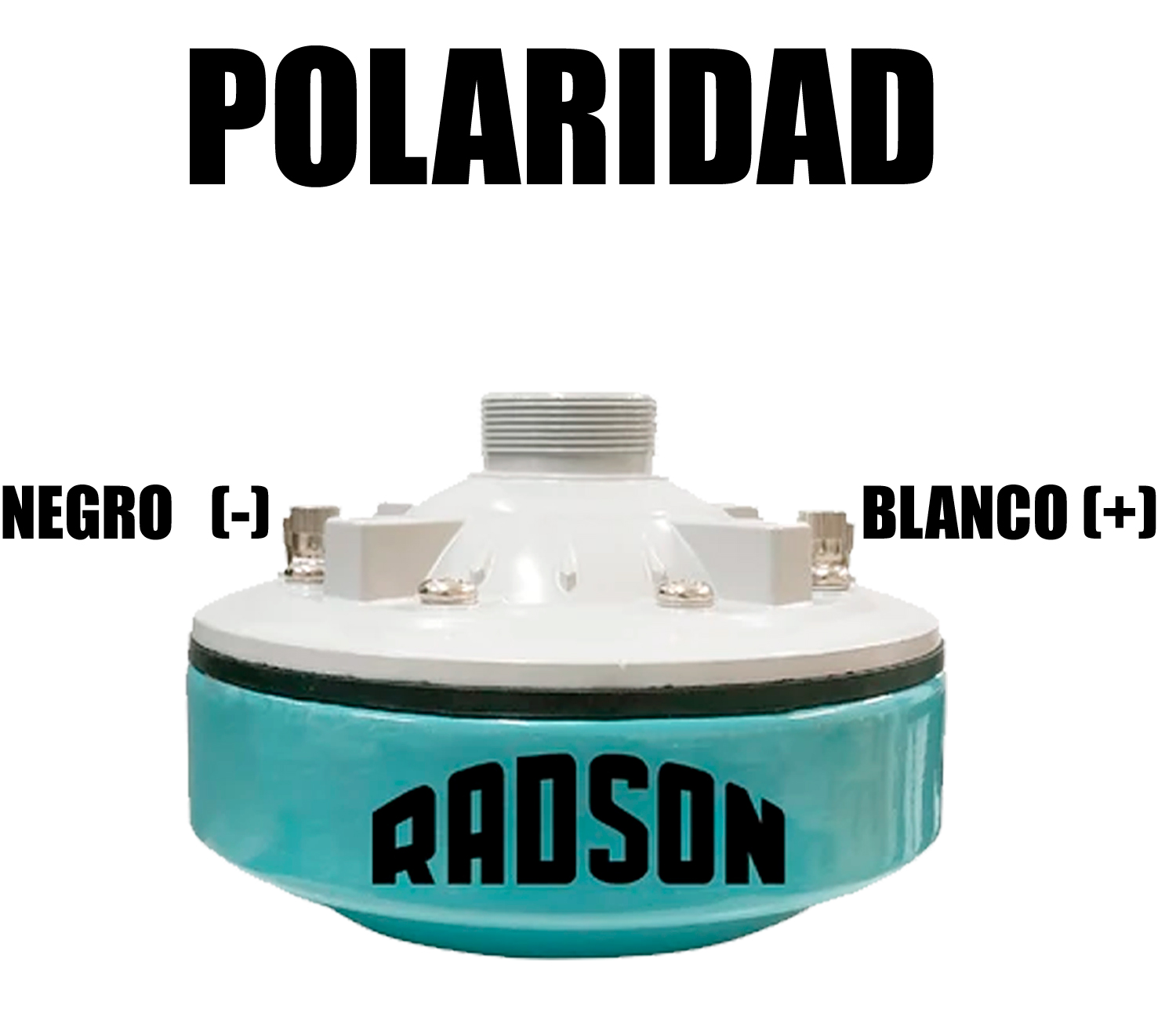 UNIDAD 150 WATTS 8 OHM (radson) - Imagen 2