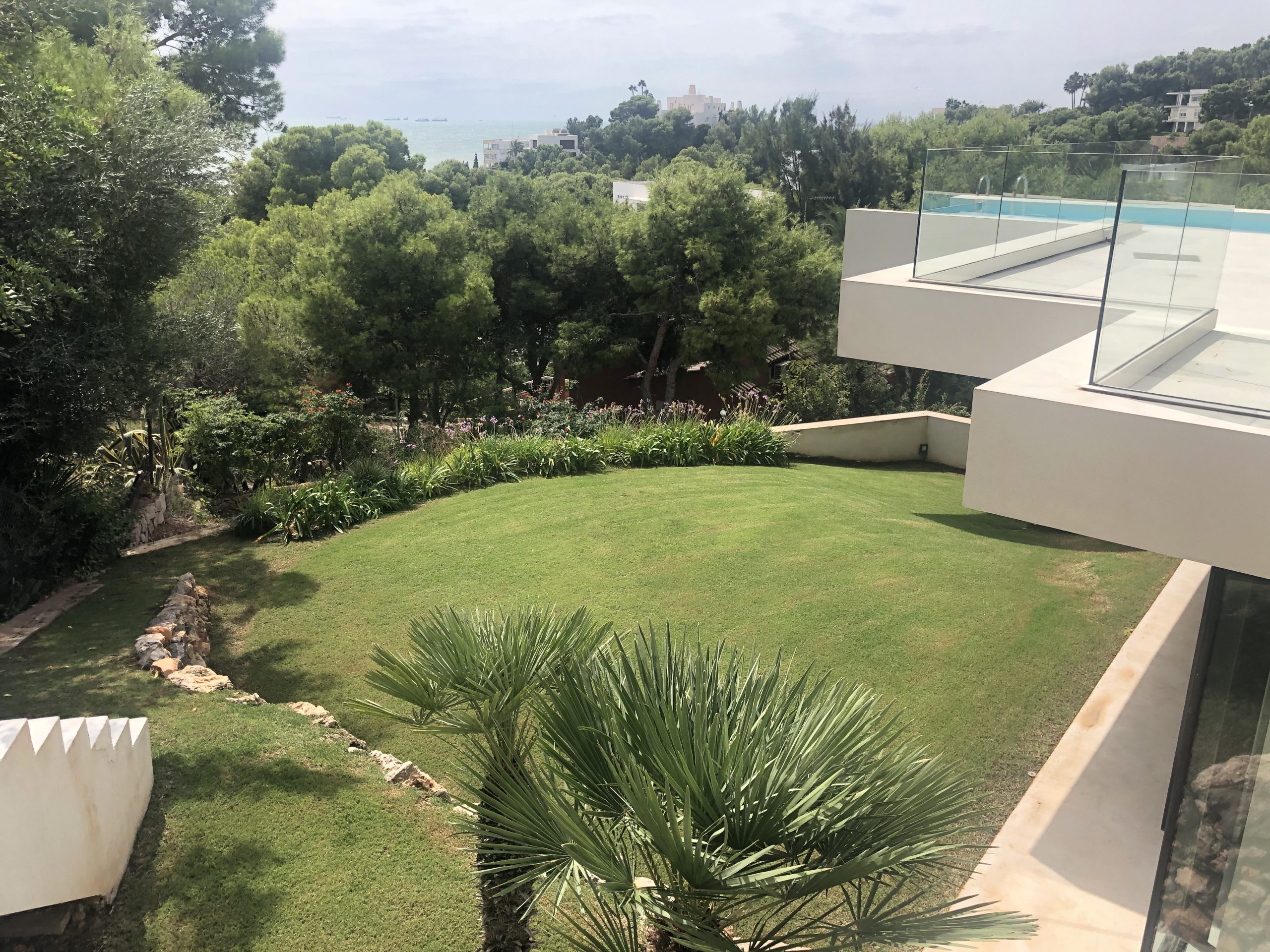 Semillas de Césped 777 CTD- 1 kg - Imagen 2